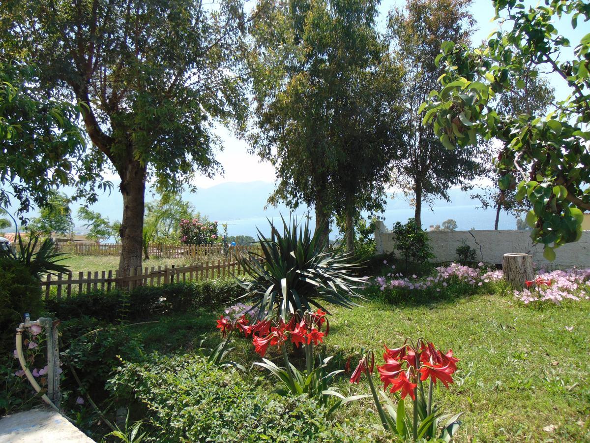 Residence Jazoj Vlorë Eksteriør billede